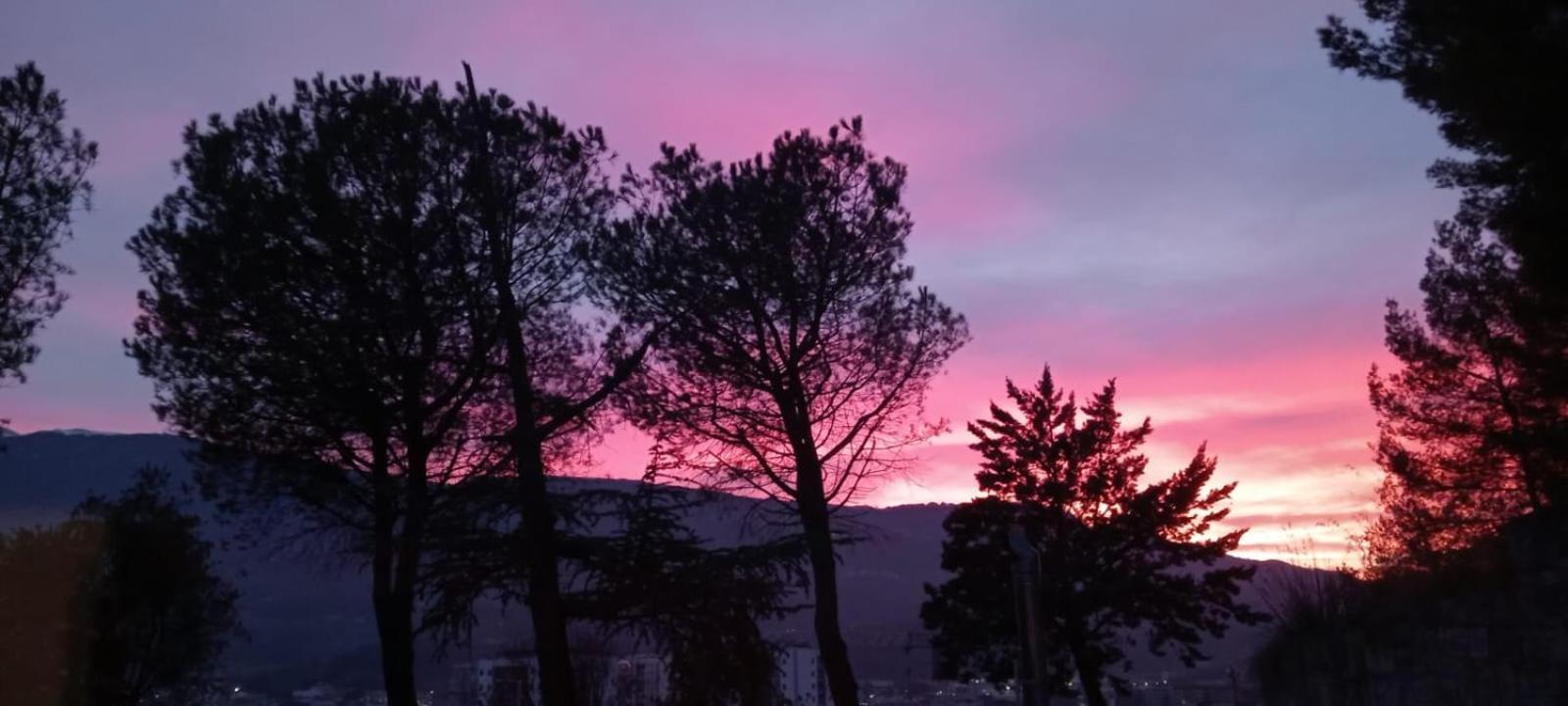 Parco Dei Gelsomini Bed & Breakfast Ascoli Piceno Bagian luar foto