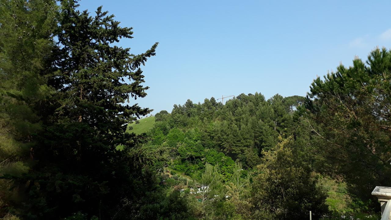 Parco Dei Gelsomini Bed & Breakfast Ascoli Piceno Bagian luar foto