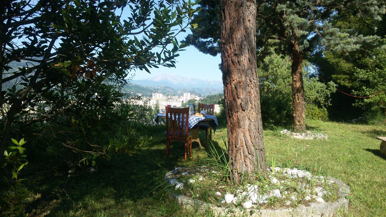Parco Dei Gelsomini Bed & Breakfast Ascoli Piceno Bagian luar foto