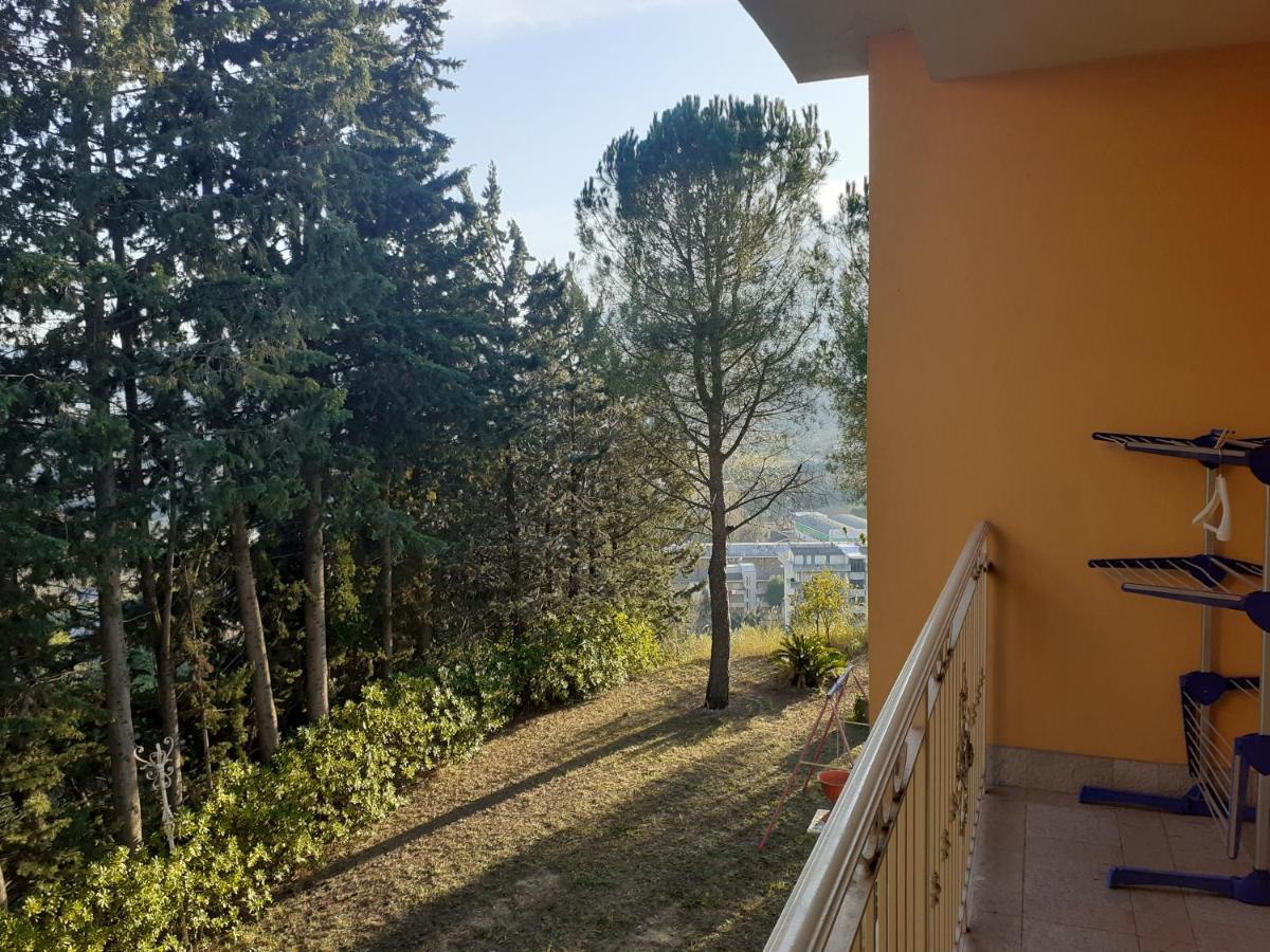 Parco Dei Gelsomini Bed & Breakfast Ascoli Piceno Bagian luar foto